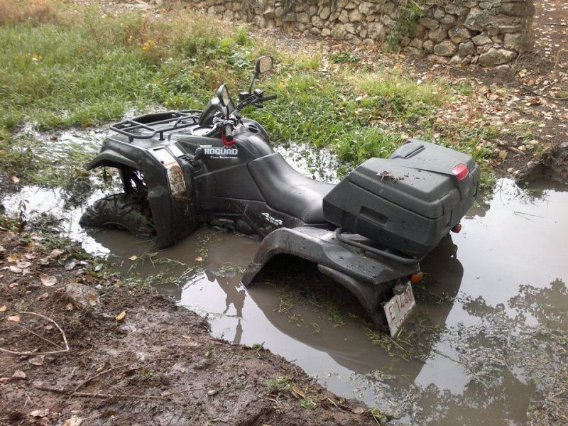 David Beltrán Colas