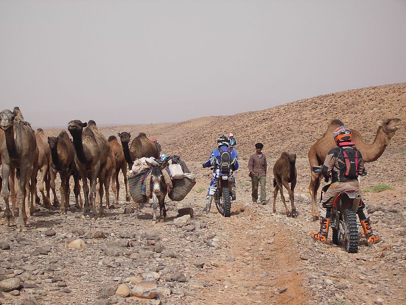 David Estévez Hontoria