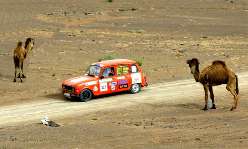 Pablo Ribeiro Rueda.