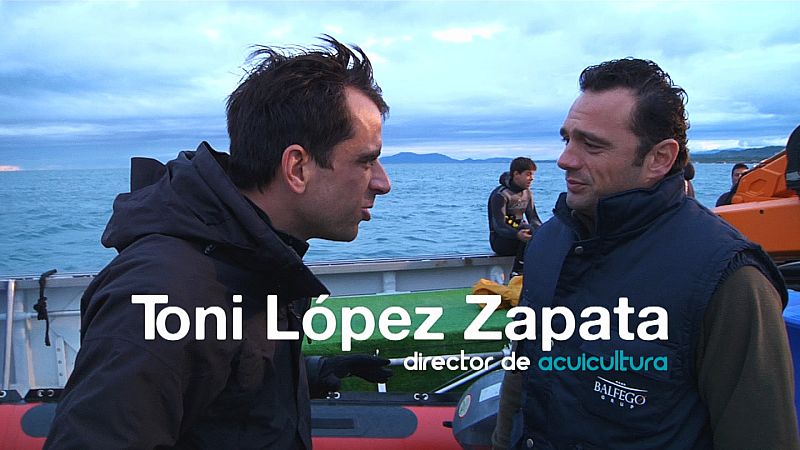 ¿Cómo se elaboran los lomos de atún?