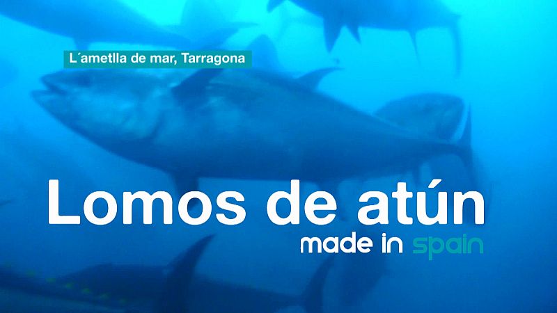 ¿Cómo se elaboran los lomos de atún?