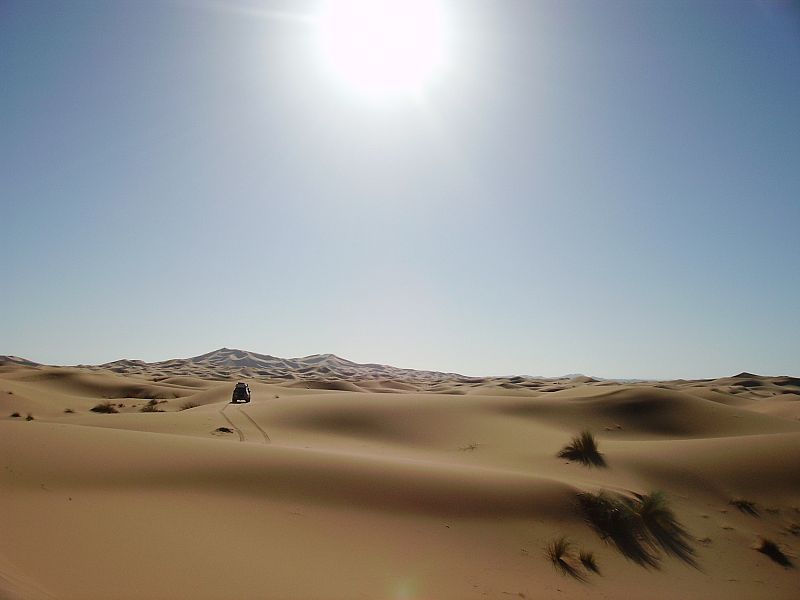 jose manuel SAINZ-ROZAS GARCIA