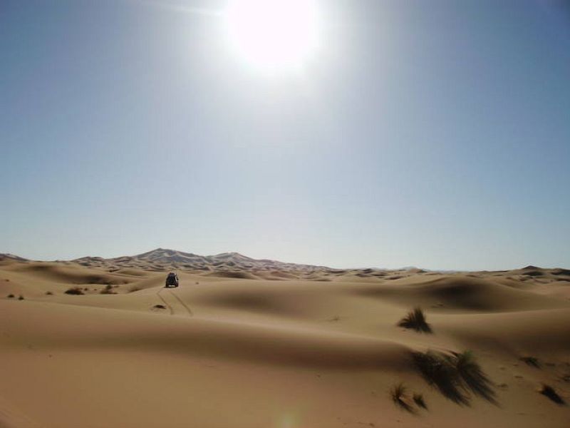 jose manuel SAINZ-ROZAS GARCIA