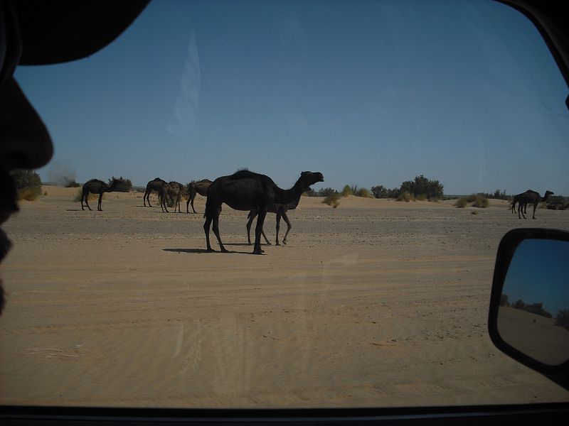 MARIOLA RUEDA DE LA PUERTA
