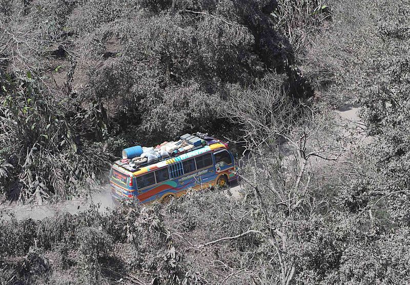 Un autobus transporta a vecinos evacuados entre los árboles cubiertos de ceniza