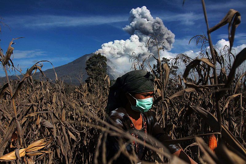 Unas campesinas trabajan en una plantación de maíz mientras, al fondo, se produce una de las erupciones del volcán SInabung