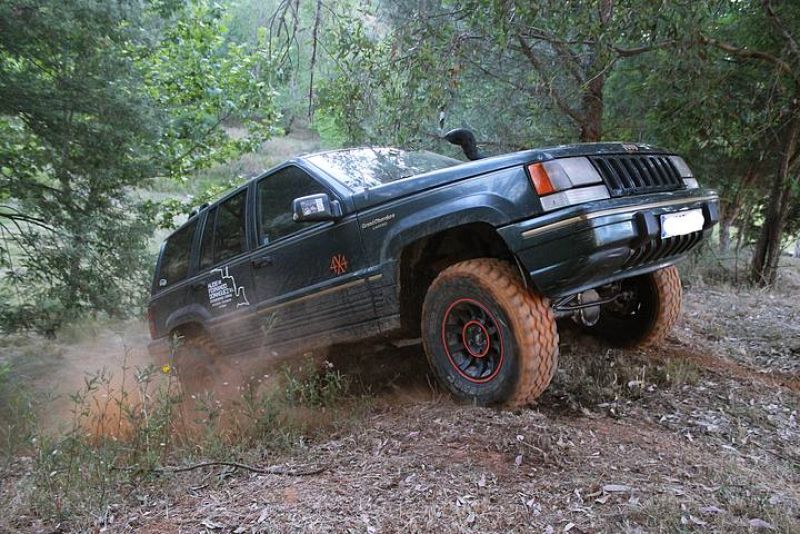 Guillermo Martín Domínguez 