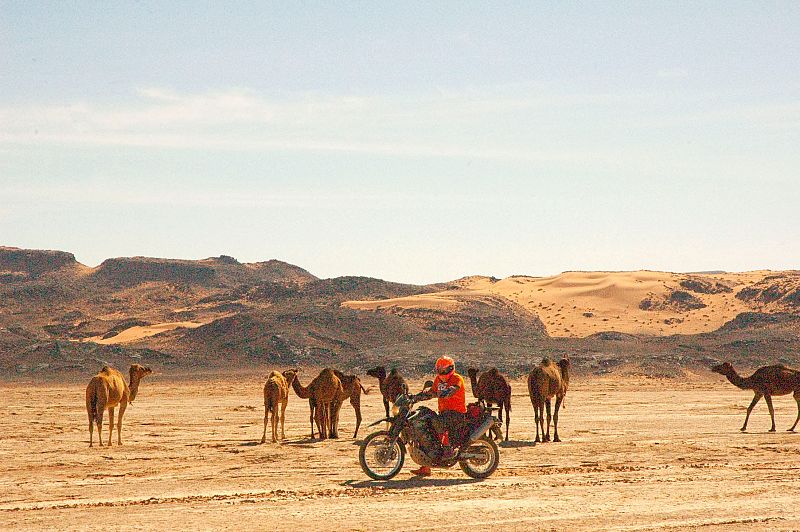 Francisco Javier Cordero Molano