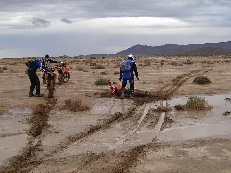 ibon linacisoro suinaga