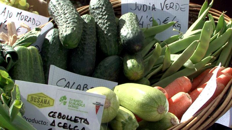 Verduras ecológicas
