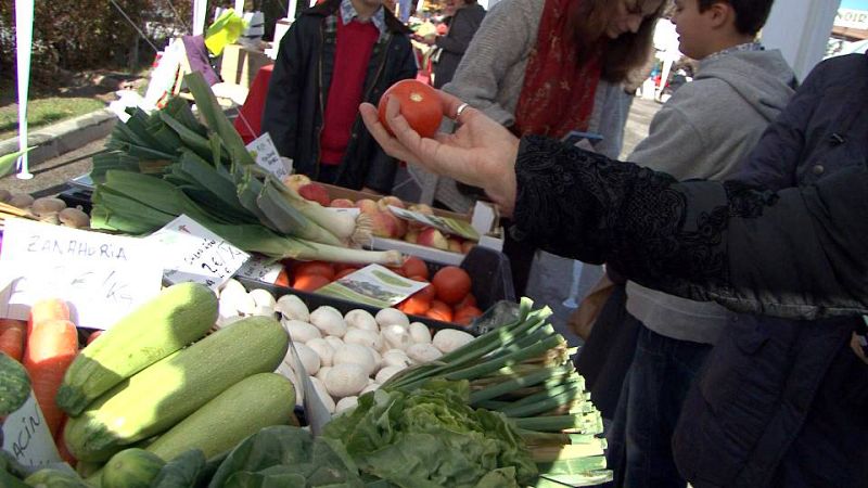 Verduras ecológicas