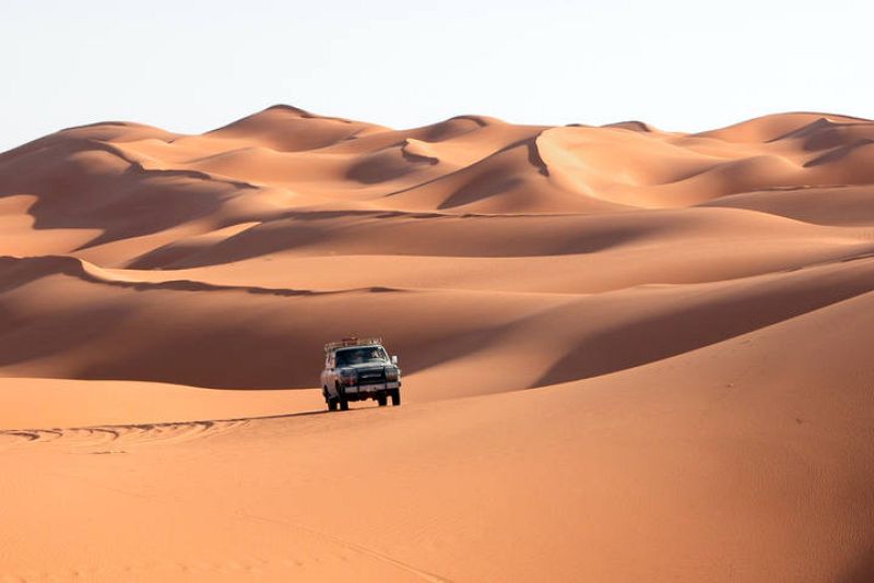 31. Merce Monzonis Negre