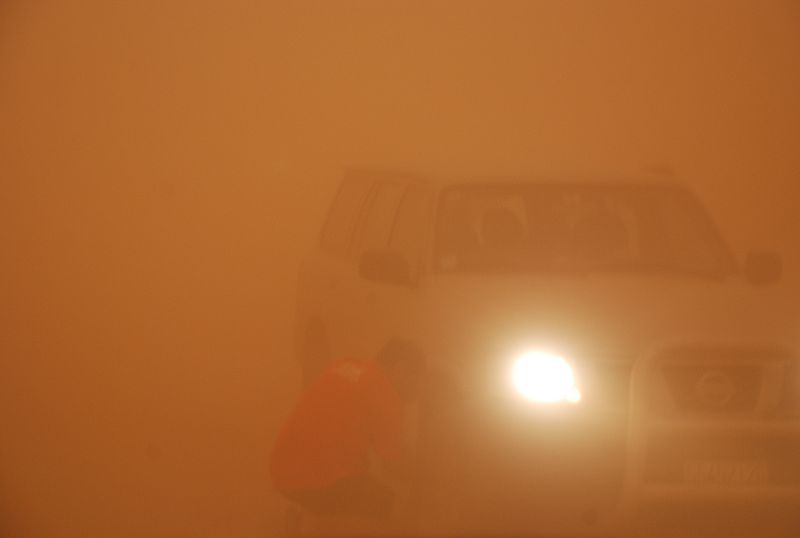 MIGUEL  PUJOL VICENS