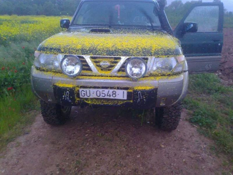 maria ruiz armendariz