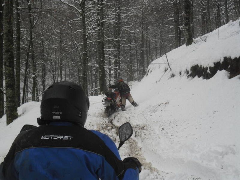 fernando lopez moran