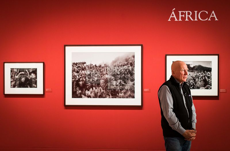 El fotógrafo Sebastiao Salgado expone 'Génesis', un compendio de 245 fotografías en las que la naturaleza virgen se expresa en toda su grandeza.