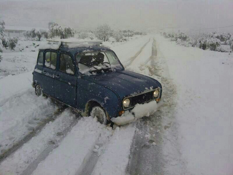 Alejandro  palomar aranda