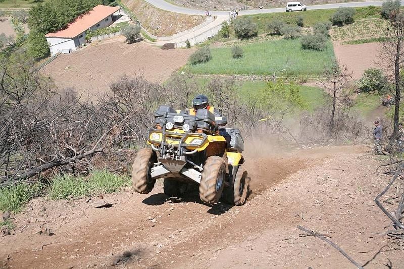 Daniel Gonzalez Medraño