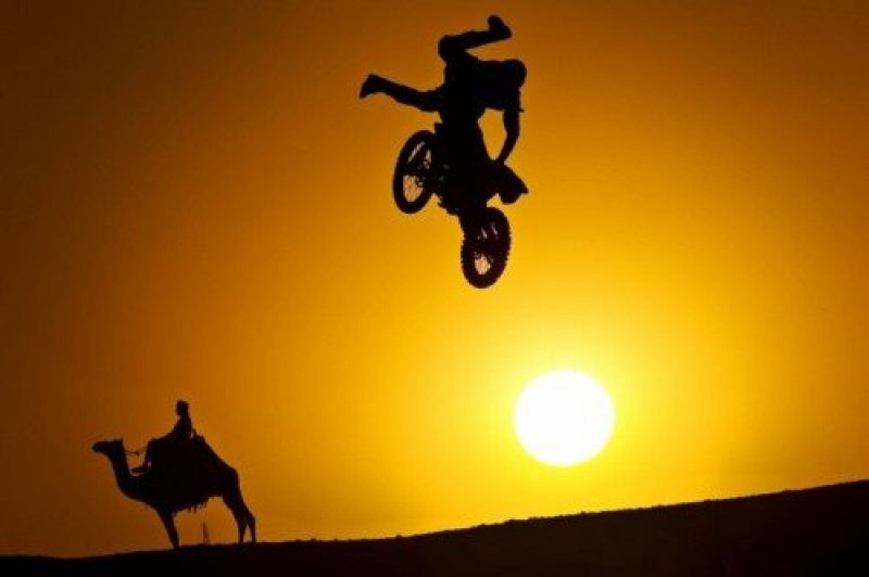 Francisco javier  Arcos angel