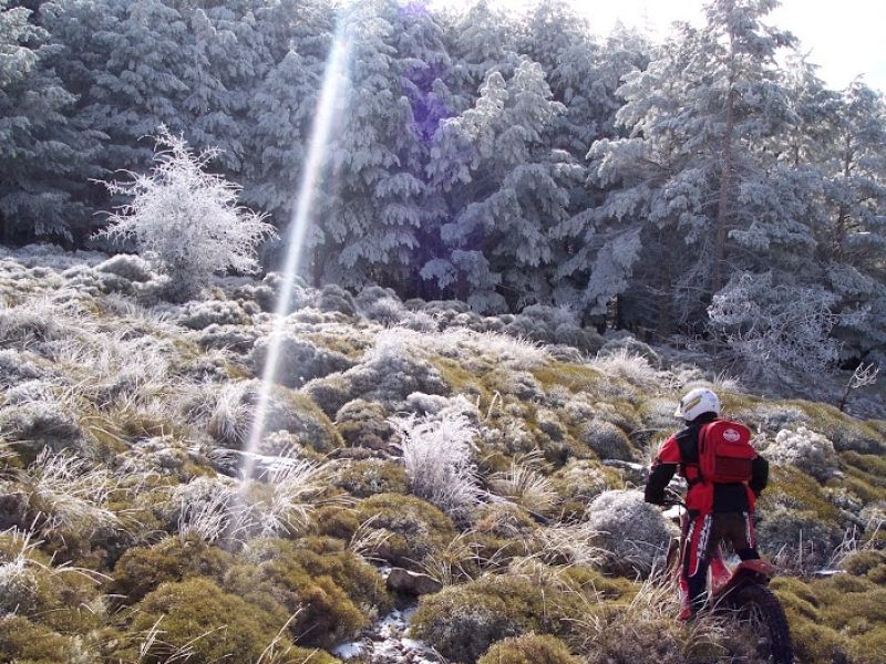 José Julio Padial Rodríguez