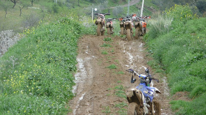 manuel Sanchez Ortega