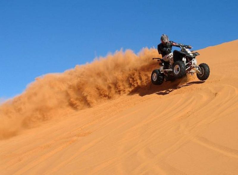 37. David Quer Sánchez