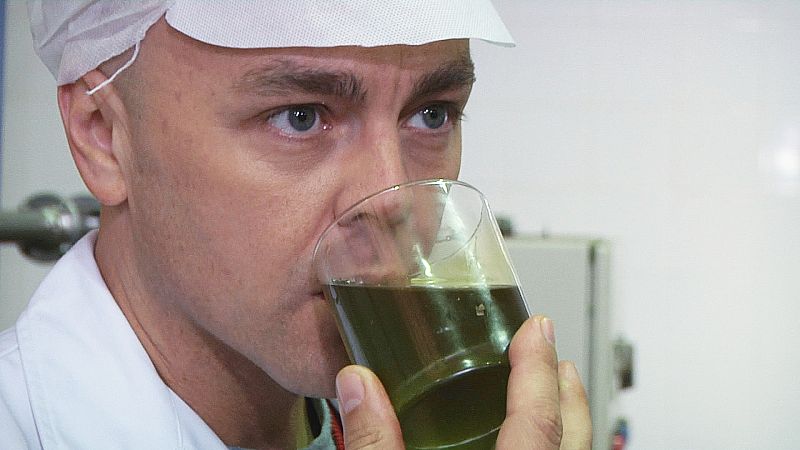 ¿Cómo se elabora el aceite de oliva?