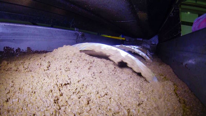  ¿Cómo se elabora el aceite de oliva?