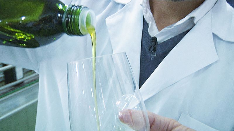 ¿Cómo se elabora el aceite de oliva?