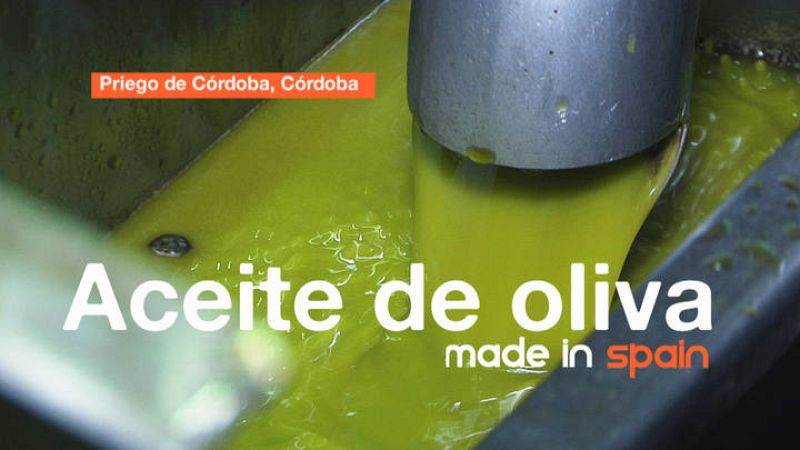  ¿Cómo se elabora el aceite de oliva?