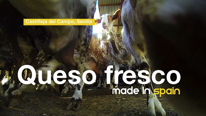 La elaboración del queso fresco