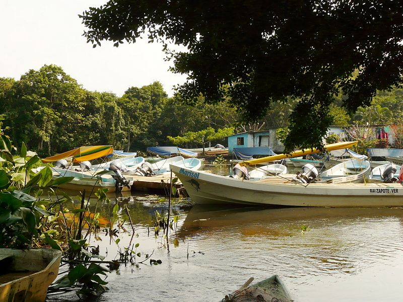 Veracruz, la cuna mexicana de poetas, pintores y compositores