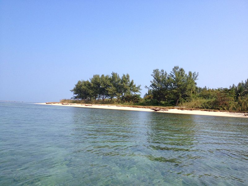 Veracruz, la cuna mexicana de poetas, pintores y compositores