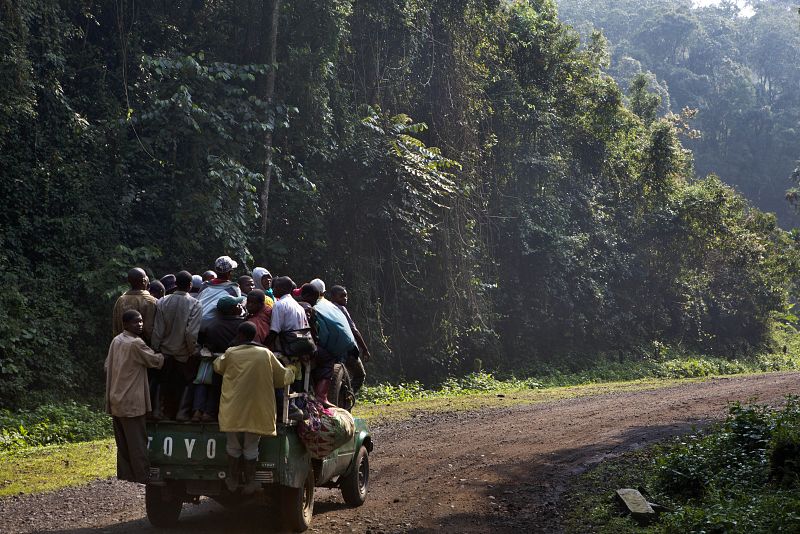 En Kivu (RDC), hay un gran número de 'desplazados ocultos' que permanecen fuera de los programas coordinados por el Gobierno y las agencias internacionales.