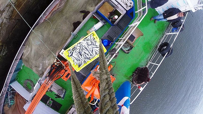 Lo primero que se hace es limpiarlas y acto seguido, echarles sal gorda para darle consistencia.