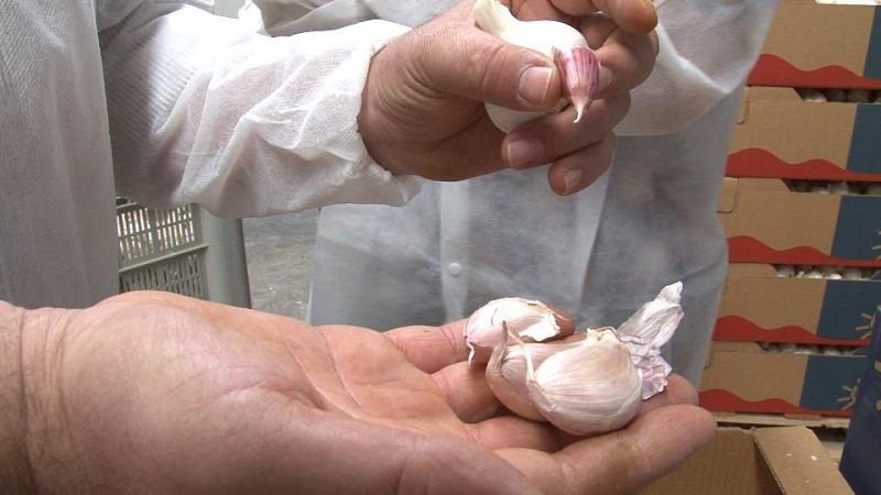 Calidad Superior - Ajos de las Pedroñeras