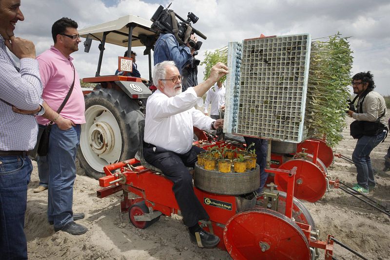 Como ex ministro de Agricultura, Miguel Arias Cañete no tiene reparos en probar maquinaria en una plantación de tomates, en Alonso de Ojeda (Cáceres).