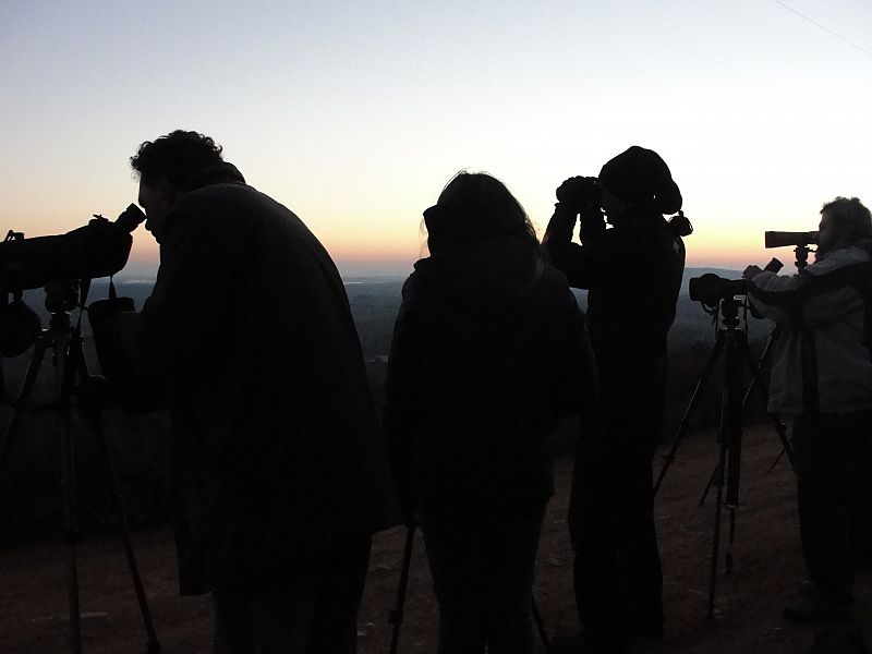 Amanece esperando poder ver al lobo