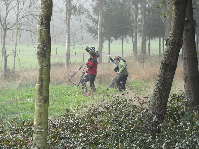 En tierras de lobos cerca de Santiago, Galicia