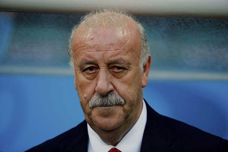 El seleccionador nacional español, Vicente Del Bosque, no pierde detalle del partido.