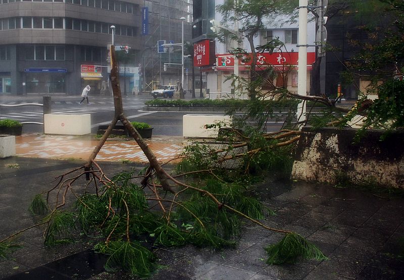 Árboles caídos bloquean la acera en la ciudad de Naha, Okinawa. 