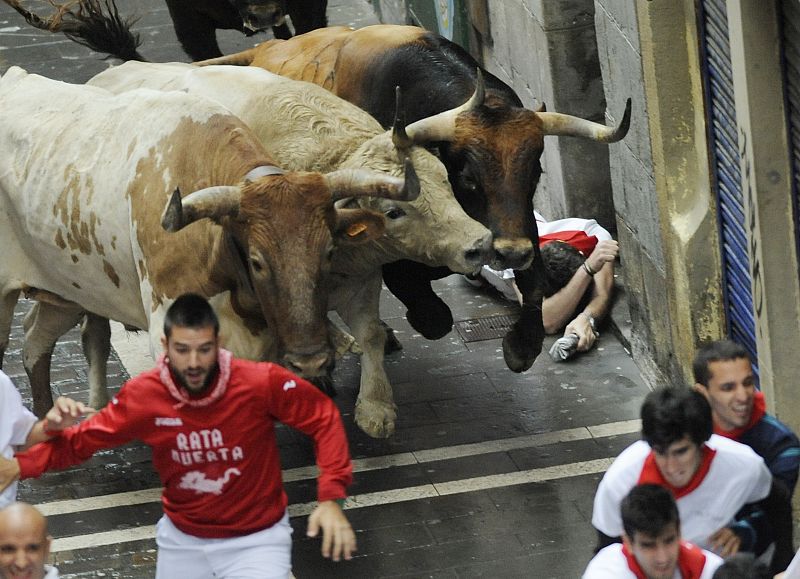 Dos toros negros, tres castaños y un jabonero han salido junto a los cabestros