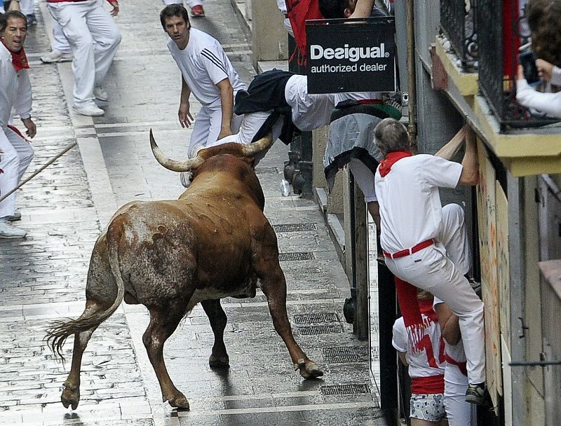 Un toro de Miura cornea a un mozo en la calle Estafeta