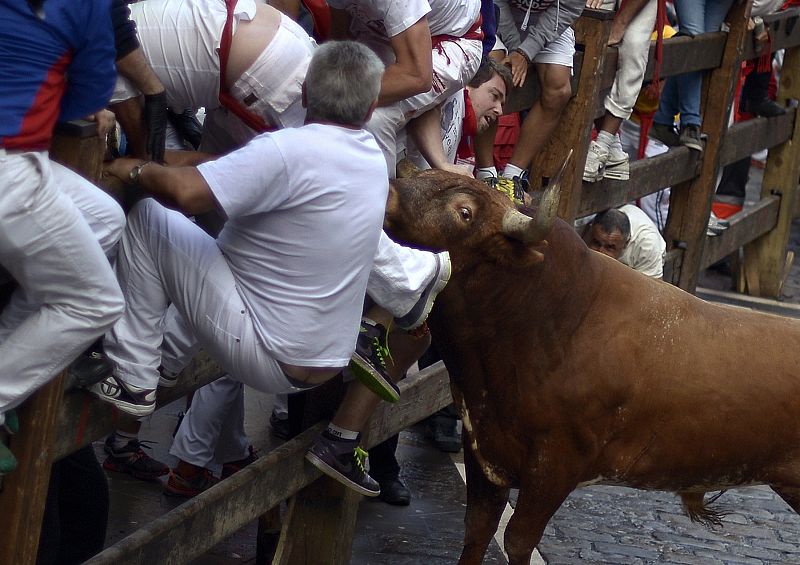 El toro "Olivito" ha sembrado el pánico en el último encierro y ha embestido a un mozo contra el vallado