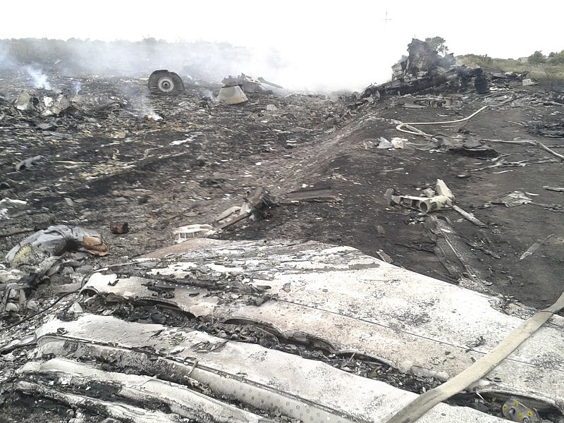 A general view shows the site of a Malaysia Airlines Boeing 777 plane crash in the settlement of Grabovo in the Donetsk region