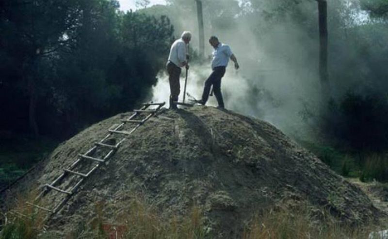 Hace años que no se produce carbón vegetal en los boliches (carboneras) del entorno del Parque Nacional de Doñana.