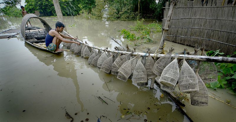 Un hombre monta trampas para peces durante la inundación que ha afectado al noroeste de la India