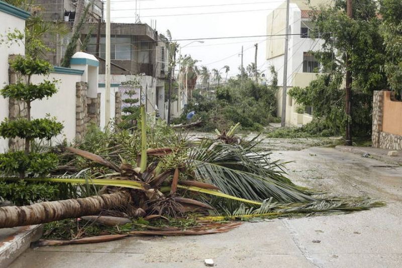 Árboles caídos en la zona turística del puerto de Los Cabos, en Baja California