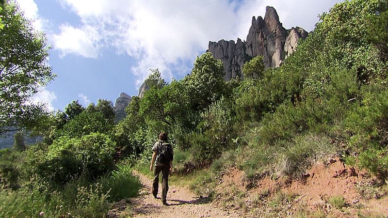 Durante dos años, en el Parque natural de Montserrat está prohibido abrir nuevas vías de escalada