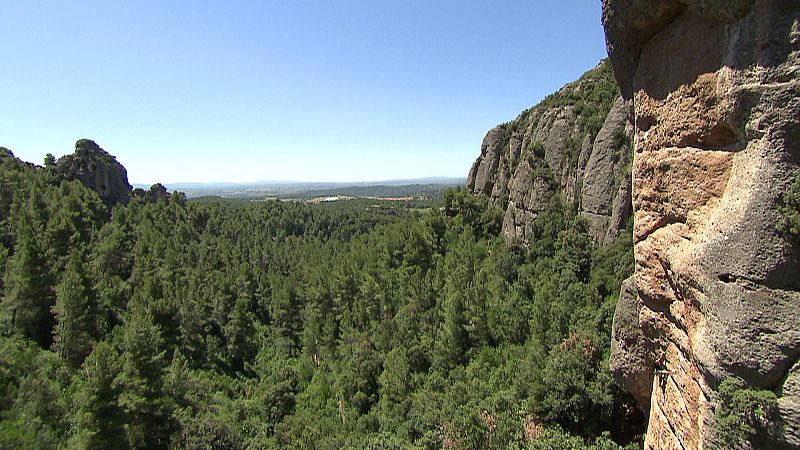 En algunas zonas de Montserrat la escalada está regulada